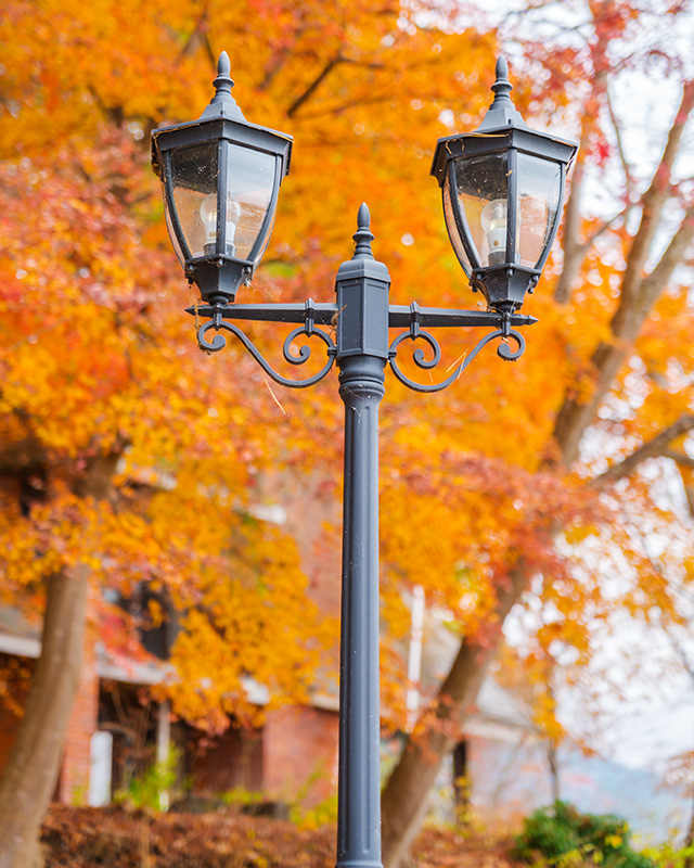 Thiết kế đèn chiếu sáng công viên thẩm mỹ, bền bỉ