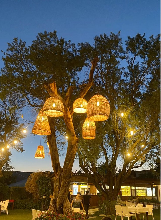 Top 10 ý tưởng sử dụng đèn trang trí cây đẹp nhất