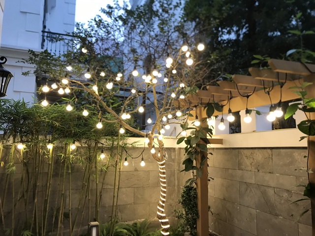 Top 10 ý tưởng sử dụng đèn trang trí cây đẹp nhất