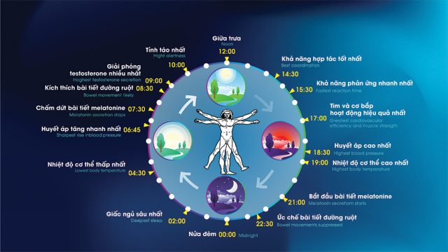 GIẢI PHÁP CHIẾU SÁNG THÔNG MINH ĐƯA BẠN VÀO GIẤC NGỦ SÂU TỰ NHIÊN